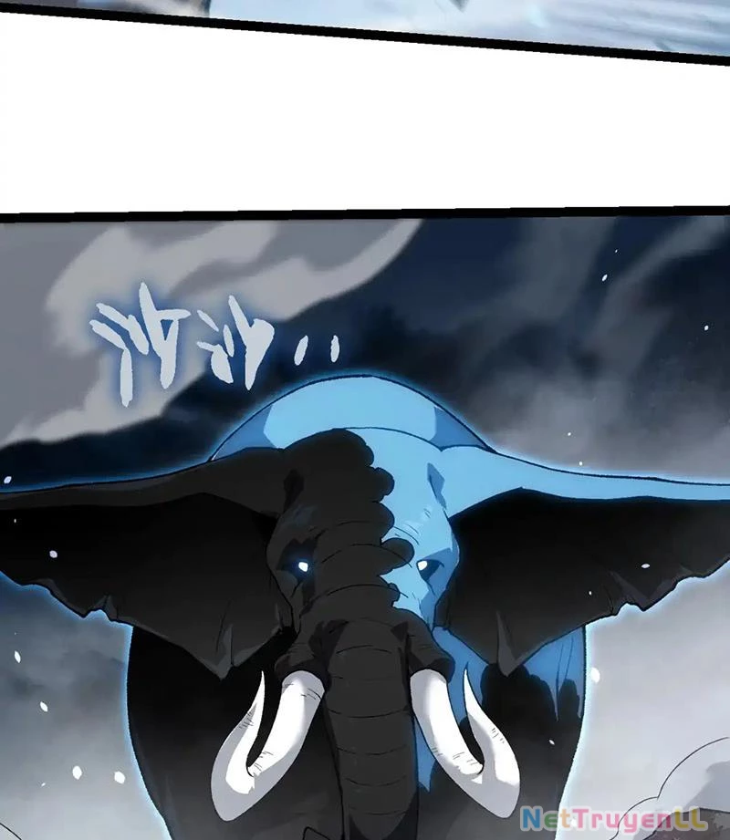 Chuyển Sinh Thành Liễu Đột Biến Chapter 247 - Trang 4