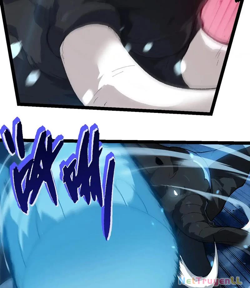 Chuyển Sinh Thành Liễu Đột Biến Chapter 247 - Trang 4