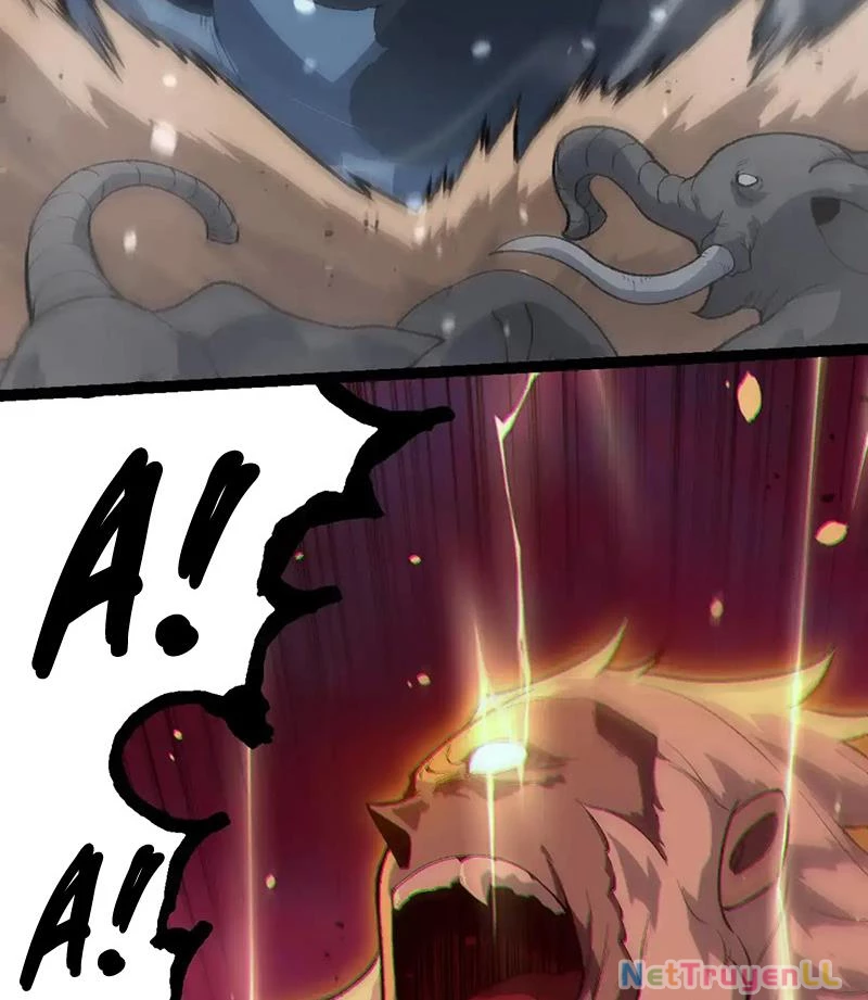 Chuyển Sinh Thành Liễu Đột Biến Chapter 247 - Trang 4