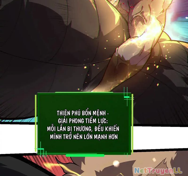 Chuyển Sinh Thành Liễu Đột Biến Chapter 247 - Trang 4