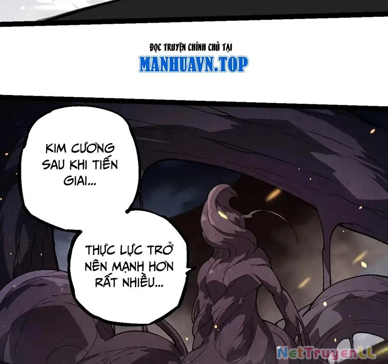 Chuyển Sinh Thành Liễu Đột Biến Chapter 247 - Trang 4