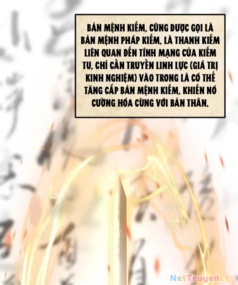Chưởng Môn Khiêm Tốn Chút Chapter 392 - Trang 4