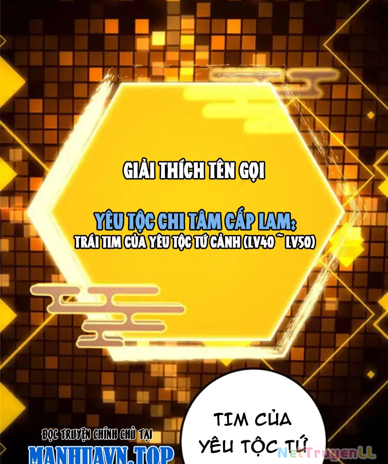 Chưởng Môn Khiêm Tốn Chút Chapter 392 - Trang 4