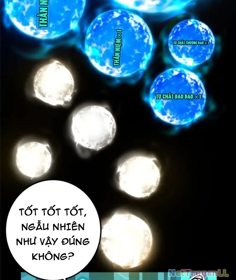 Chưởng Môn Khiêm Tốn Chút Chapter 392 - Trang 4