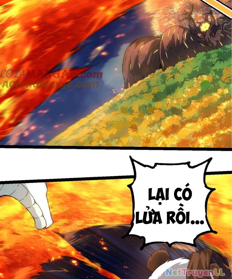 Chuyển Sinh Thành Liễu Đột Biến Chapter 248 - Trang 4