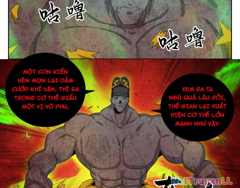 Đại Phụng Đả Canh Nhân Chapter 390 - Trang 4