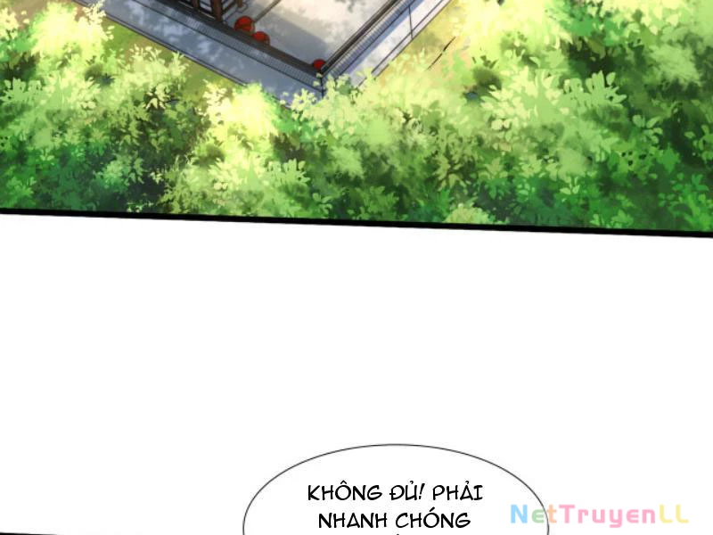 Vừa Cầm Được Thái Cổ Tiên Dược, Ta Đã Đe Dọa Thánh Chủ Chapter 15 - Trang 2