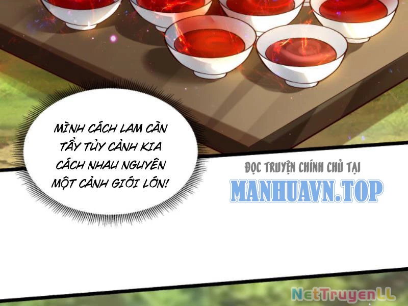Vừa Cầm Được Thái Cổ Tiên Dược, Ta Đã Đe Dọa Thánh Chủ Chapter 15 - Trang 2