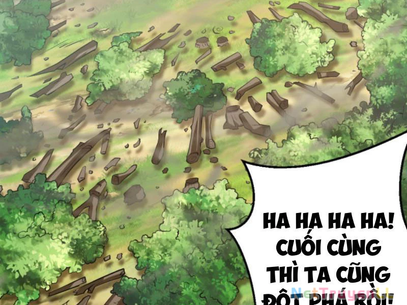 Vừa Cầm Được Thái Cổ Tiên Dược, Ta Đã Đe Dọa Thánh Chủ Chapter 15 - Trang 2