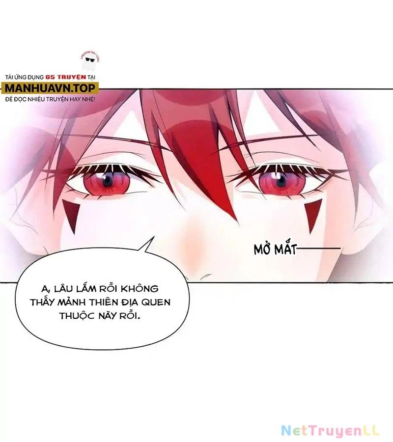 Nguyên Lai Ta Là Tu Tiên Đại Lão Chapter 435 - Trang 4