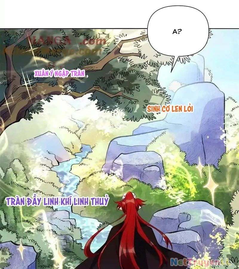 Nguyên Lai Ta Là Tu Tiên Đại Lão Chapter 435 - Trang 4