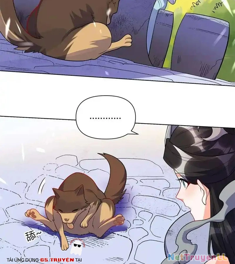 Nguyên Lai Ta Là Tu Tiên Đại Lão Chapter 435 - Trang 4