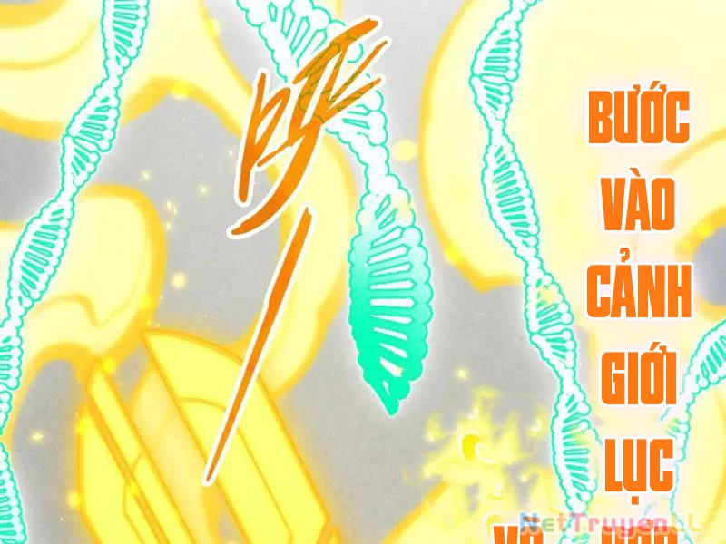 Vạn Cổ Chí Tôn Chapter 327 - Next Chapter 328
