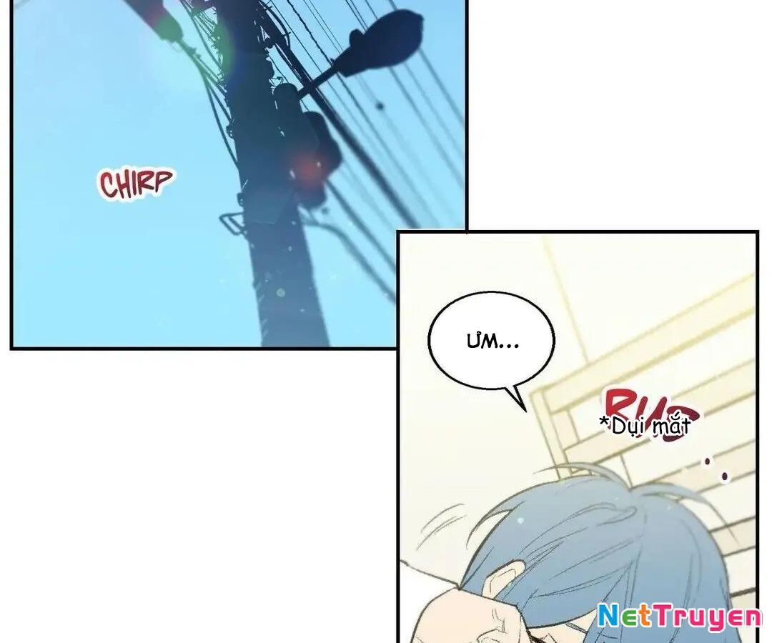 Liên Minh Bí Mật Chapter 39 - Next Chapter 40