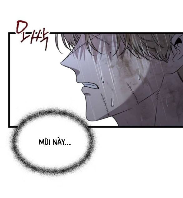 Tự Do Trong Mơ Chapter 164.2 - Trang 2