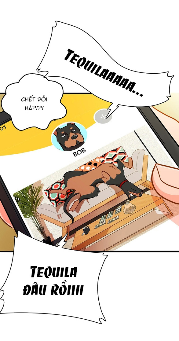 Chú Cún Của Em Thật Đáng Yêu Chapter 2.2 - Trang 2
