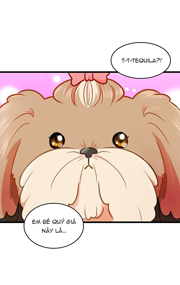 Chú Cún Của Em Thật Đáng Yêu Chapter 2.2 - Trang 2