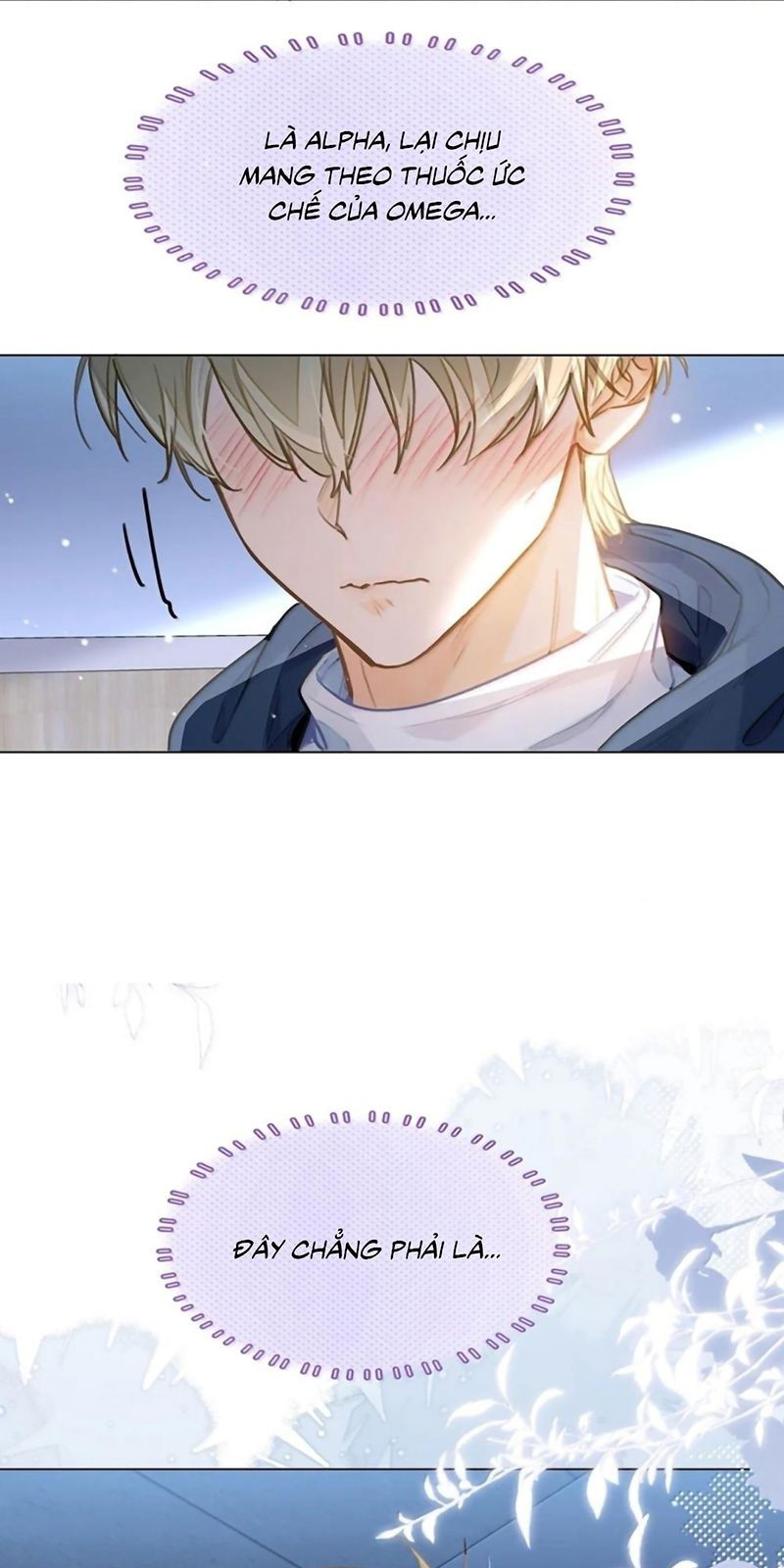 Tôi Thích Tin Tức Tố Của Cậu Chapter 92 - Trang 3