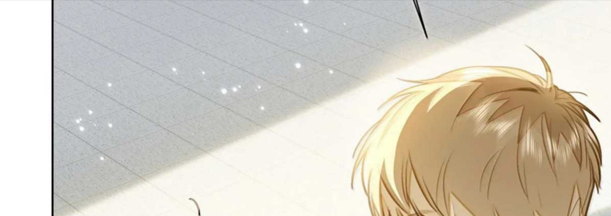 Tôi Thích Tin Tức Tố Của Cậu Chapter 93 - Trang 3