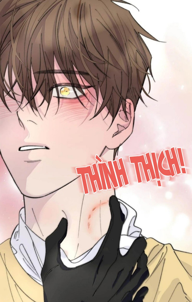 Mỗi Ngày Đều Muốn Làm Bệnh Kiều Vương Tử Xấu Hổ Tới Độn Thổ Chapter 46 - Trang 2