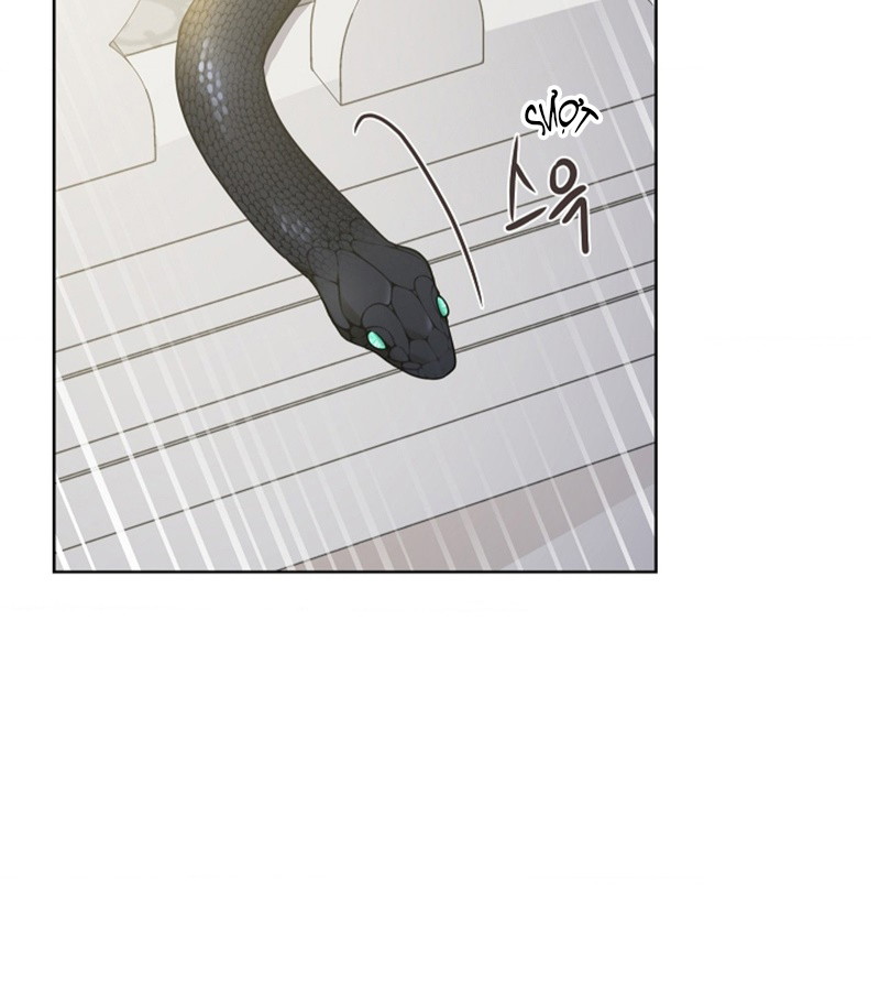 HANG RẮN Chapter 15 - Next Chapter 16