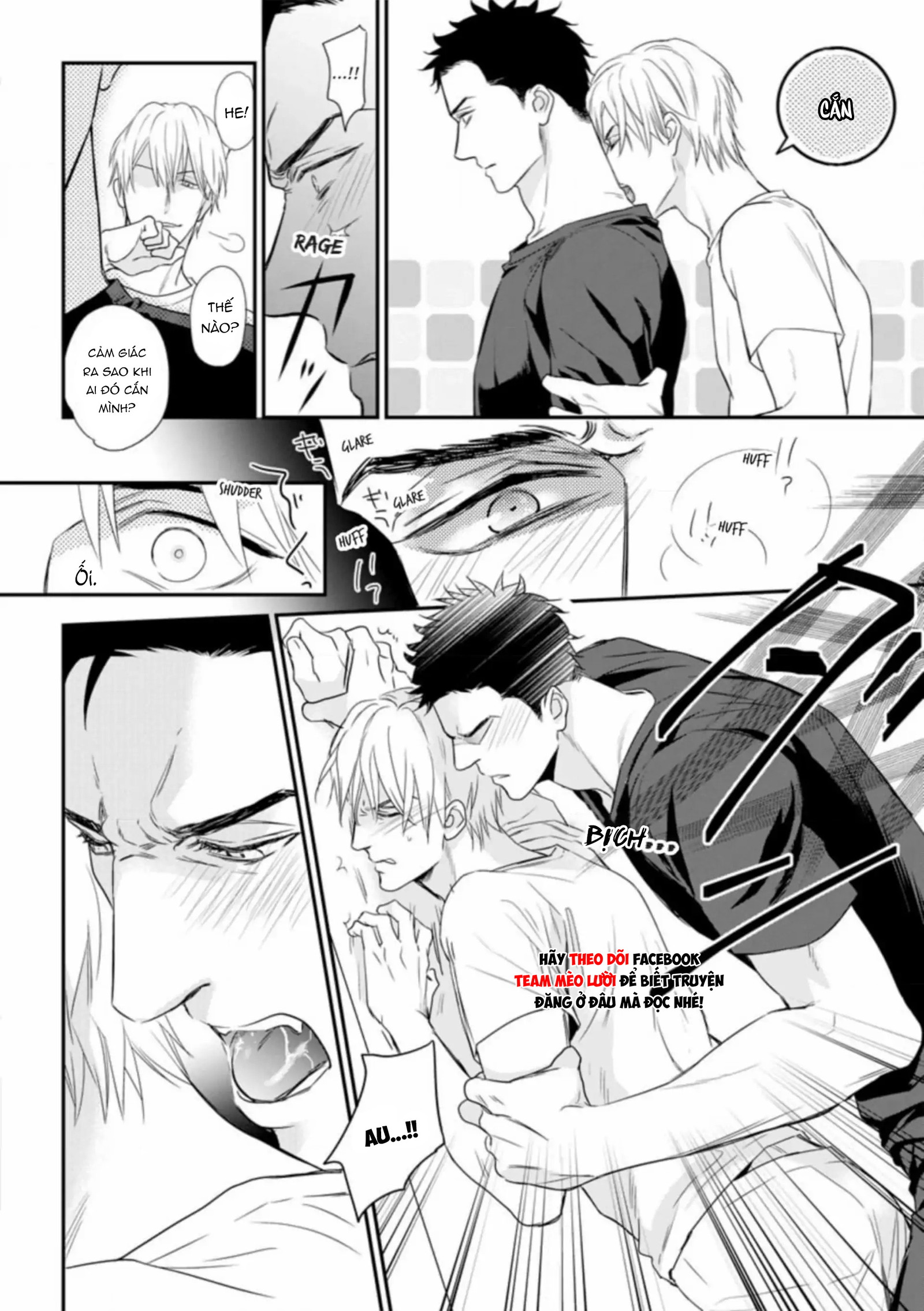Đánh Dấu Omega Chapter 7.5: Ngoại truyện - Next 