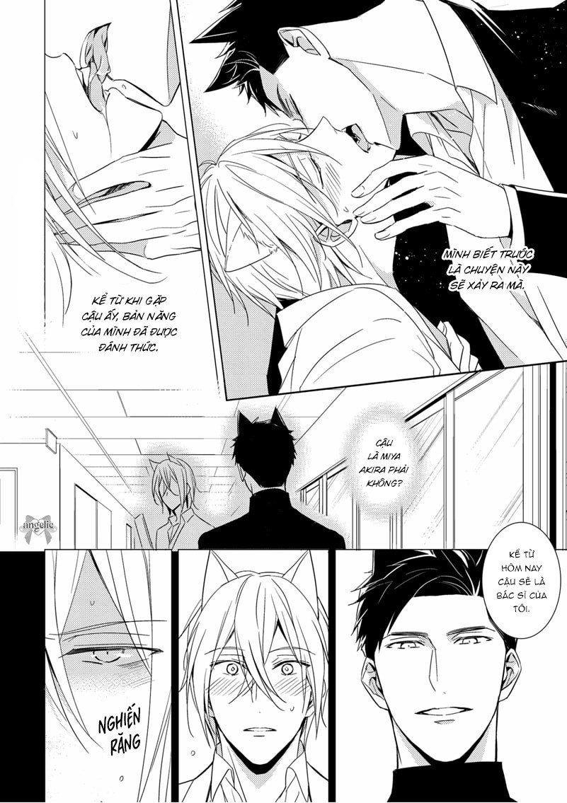 Quái Thú Arashi Chapter 1 - Next Chapter 2