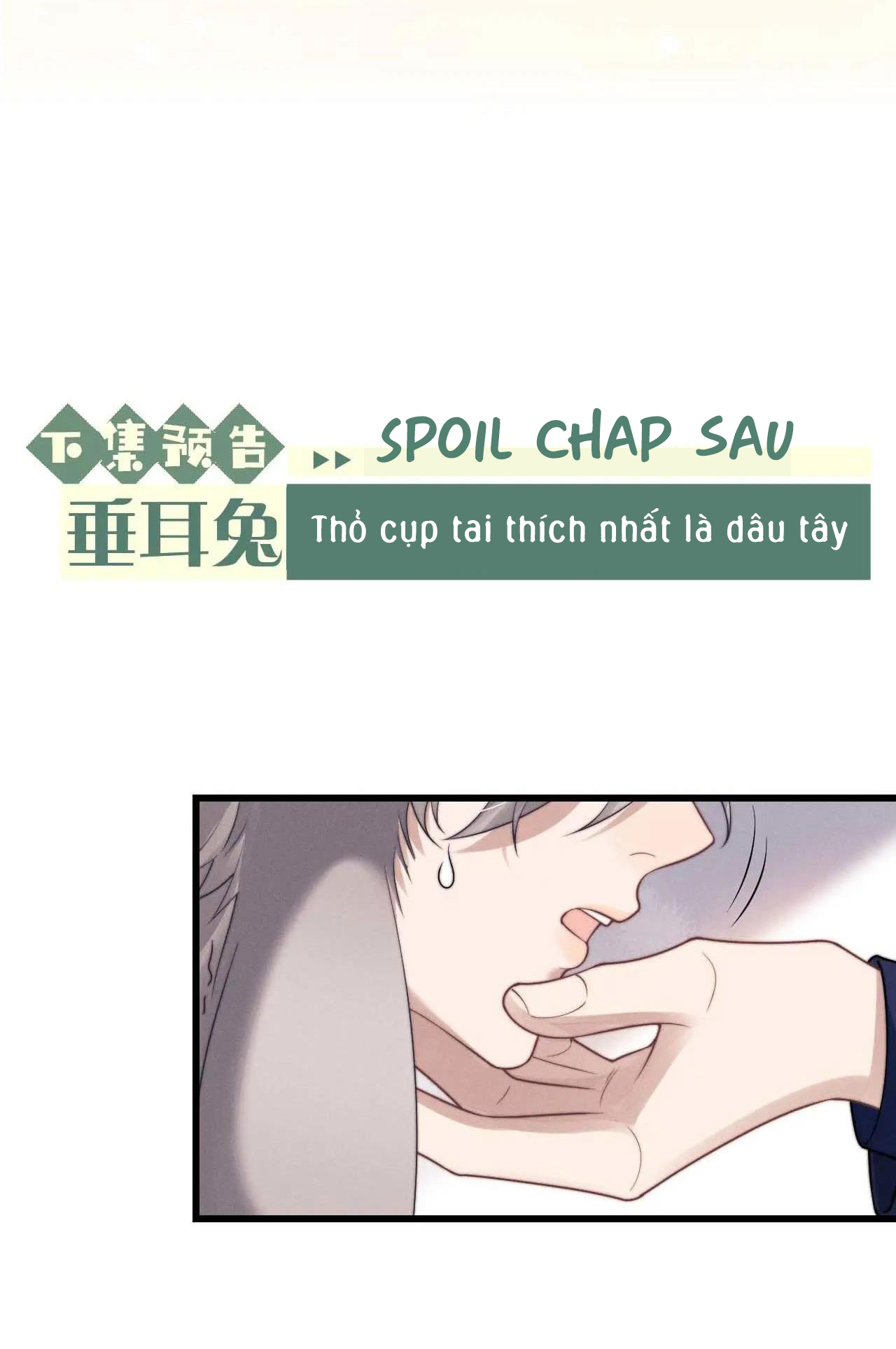 Chấp Sự Thỏ Cụp Tai Chapter 12 - Trang 4