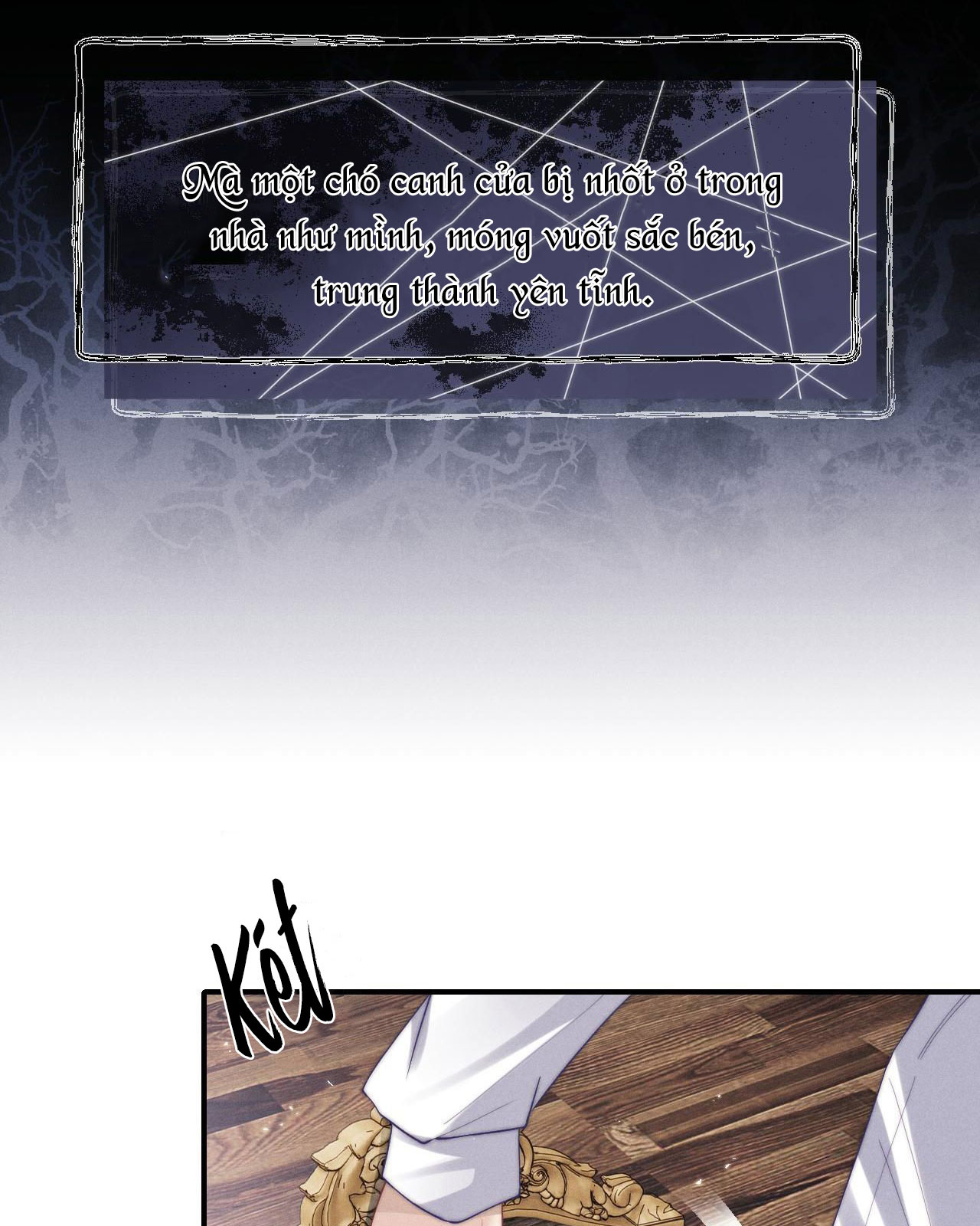 Chấp Sự Thỏ Cụp Tai Chapter 3 - Next Chapter 4