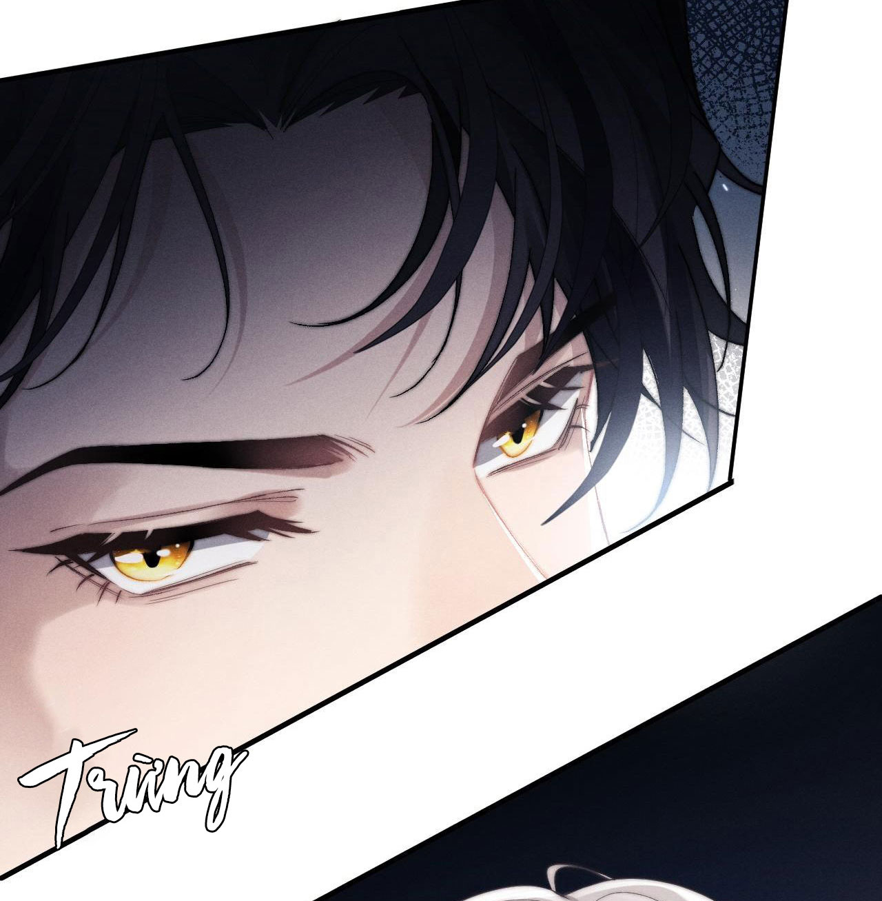 Chấp Sự Thỏ Cụp Tai Chapter 3 - Next Chapter 4