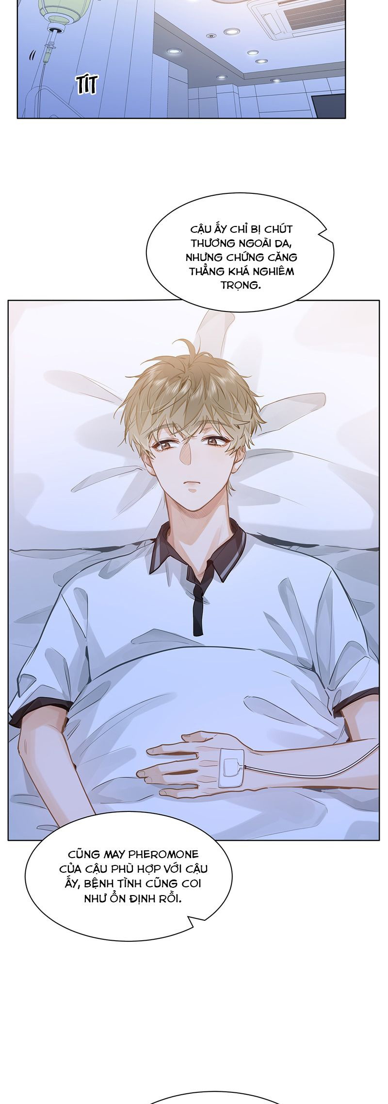 Tôi Thích Tin Tức Tố Của Cậu Chapter 53 - Trang 4