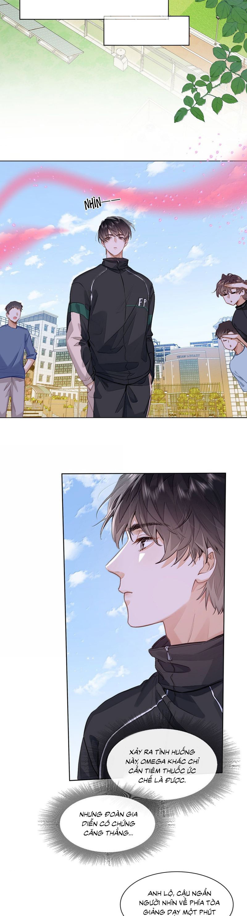 Tôi Thích Tin Tức Tố Của Cậu Chap 65 - Trang 4