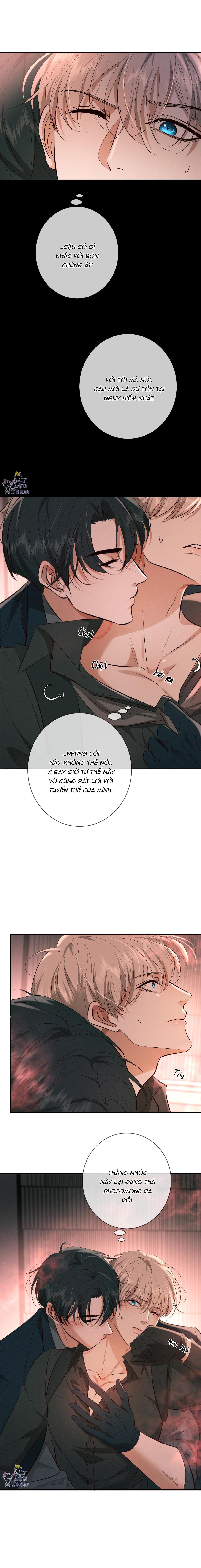 Đêm Cuồng Say Chapter 11 - Next Chapter 12