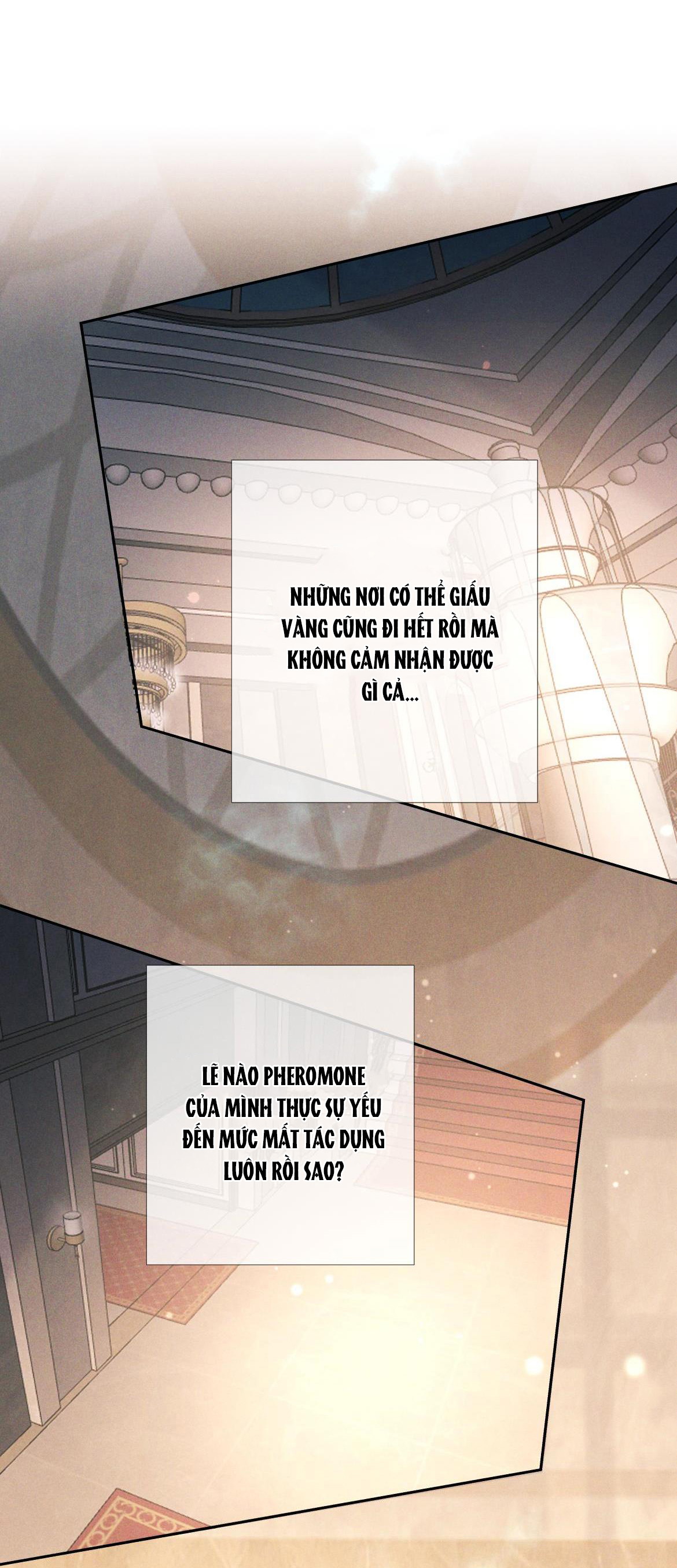 Đêm Cuồng Say Chapter 21 H+ - Next Chapter 22