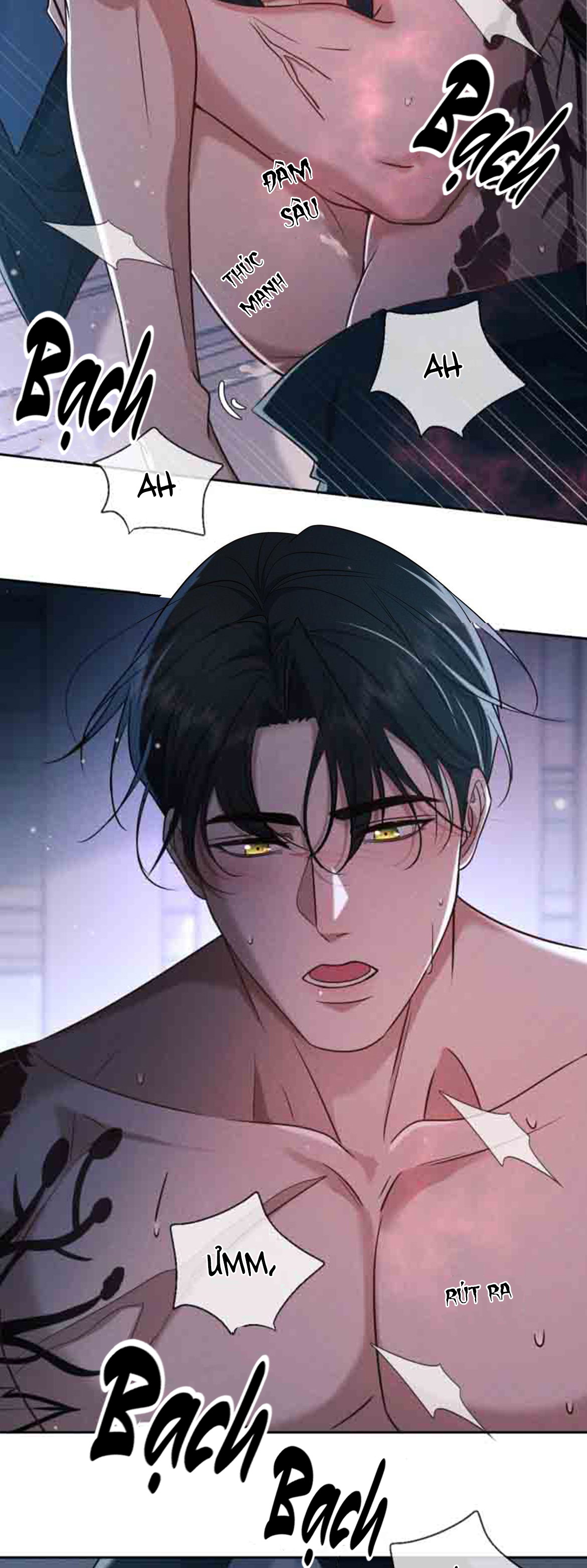 Đêm Cuồng Say Chapter 21 H+ - Next Chapter 22