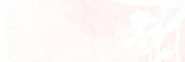 Cậu Vượt Giới Rồi Chapter 52 - Trang 4