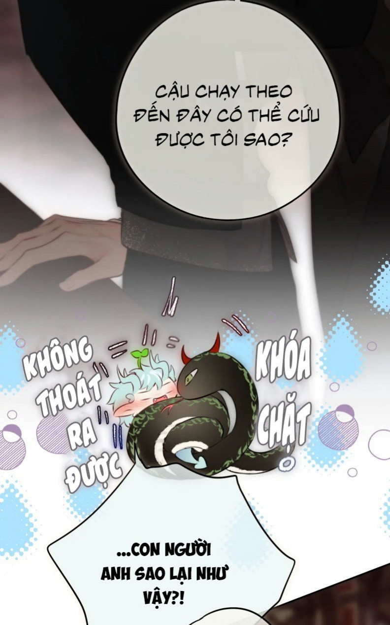 Hoặc Tinh Chi Mục Chapter 22 - Trang 4