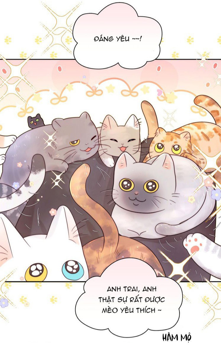 Sống Chung Cùng Kẻ Địch Trời Sinh Chapter 13 Happy Halloween - Trang 4