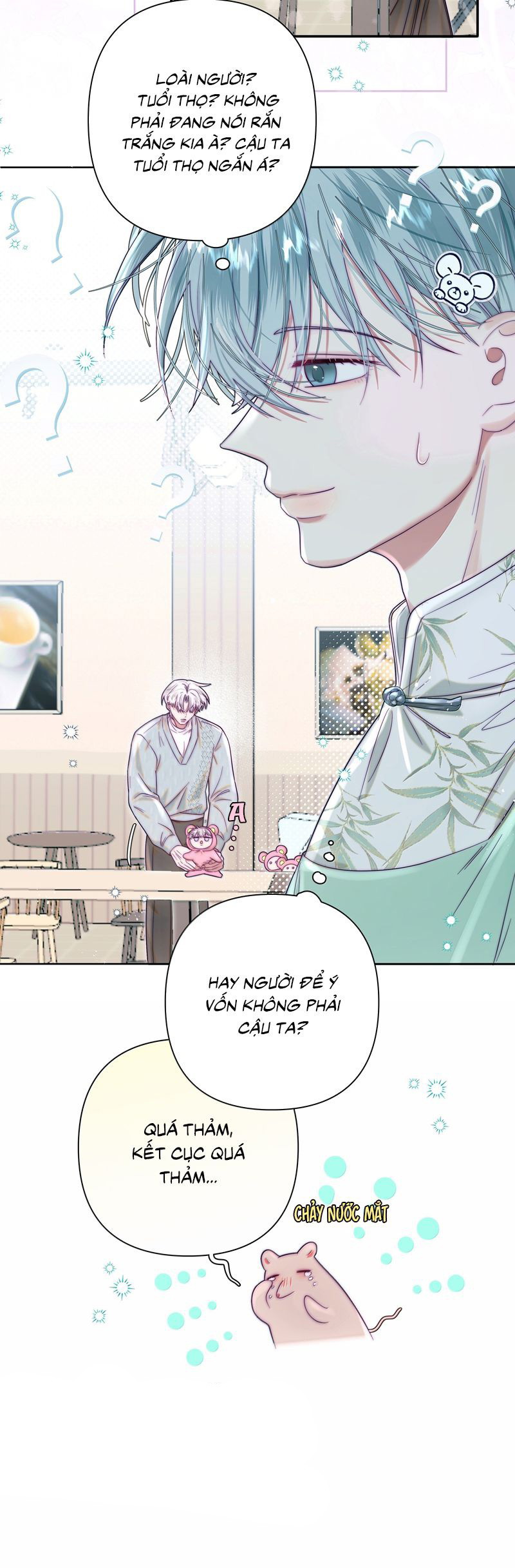 Sống Chung Cùng Kẻ Địch Trời Sinh Chapter 21 - Trang 4