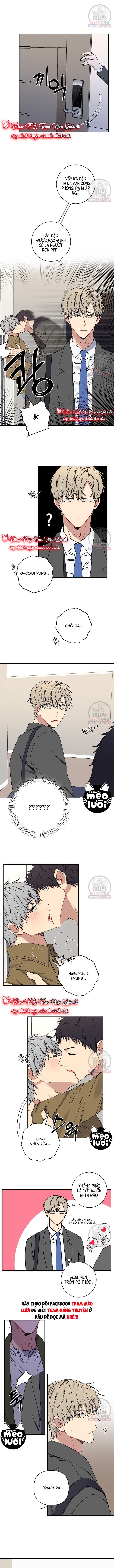 Vận Hạn Tình Yêu Chapter 12 - Next Chapter 13