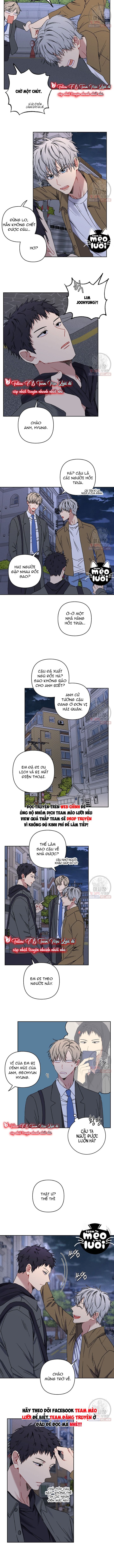 Vận Hạn Tình Yêu Chapter 12 - Next Chapter 13