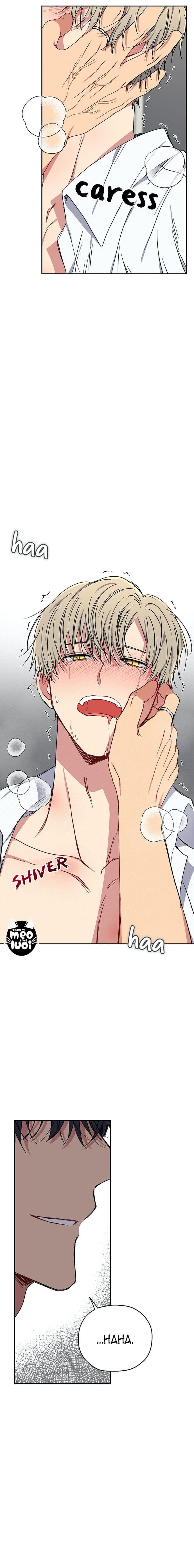 Vận Hạn Tình Yêu Chapter 31 - Next Chapter 32