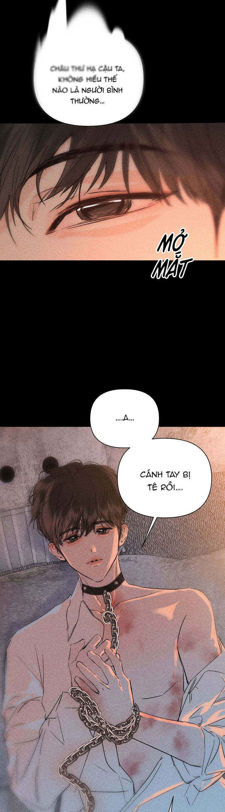 Chạy Trốn Khỏi Tầng Hầm Chap 4 - Trang 4