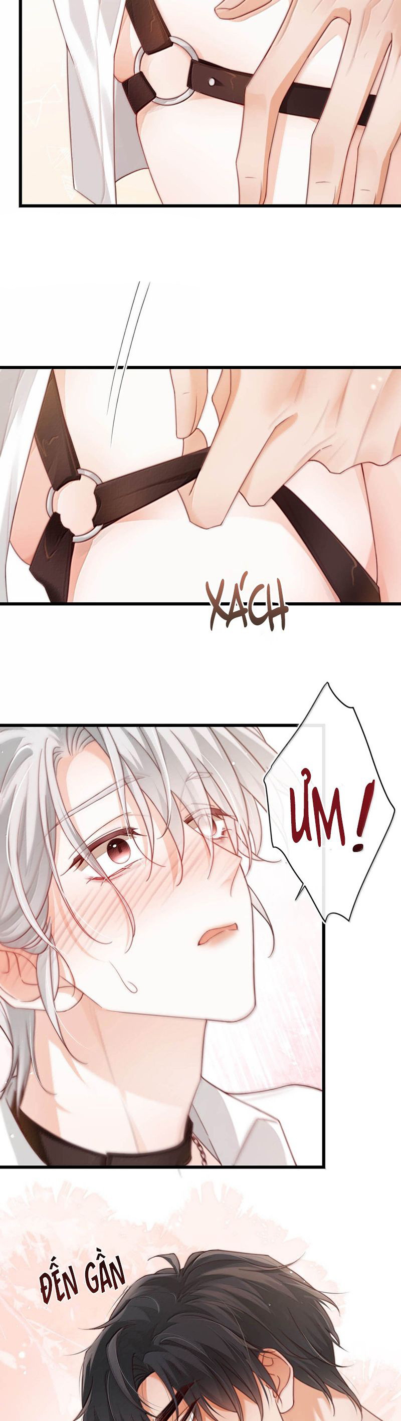 Nồng Đậm Tin Tức Tố Chapter 17 - Trang 4