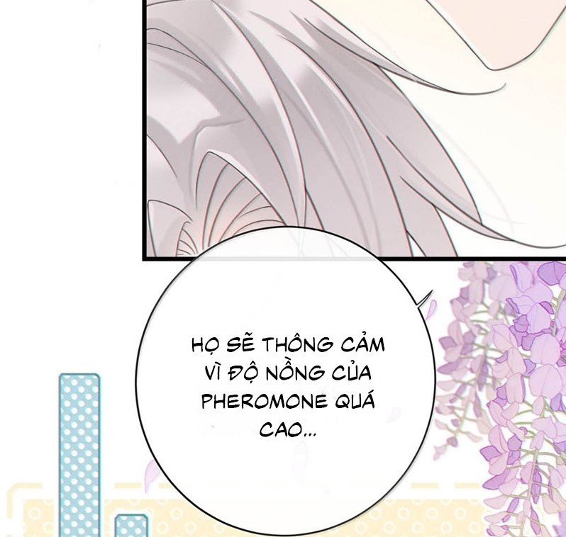 Nồng Đậm Tin Tức Tố Chapter 18 - Trang 4