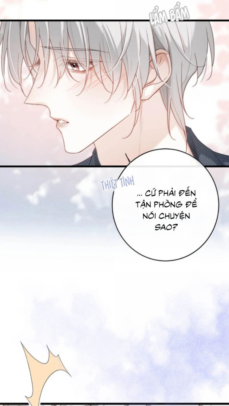 Nồng Đậm Tin Tức Tố Chapter 24 - Trang 4