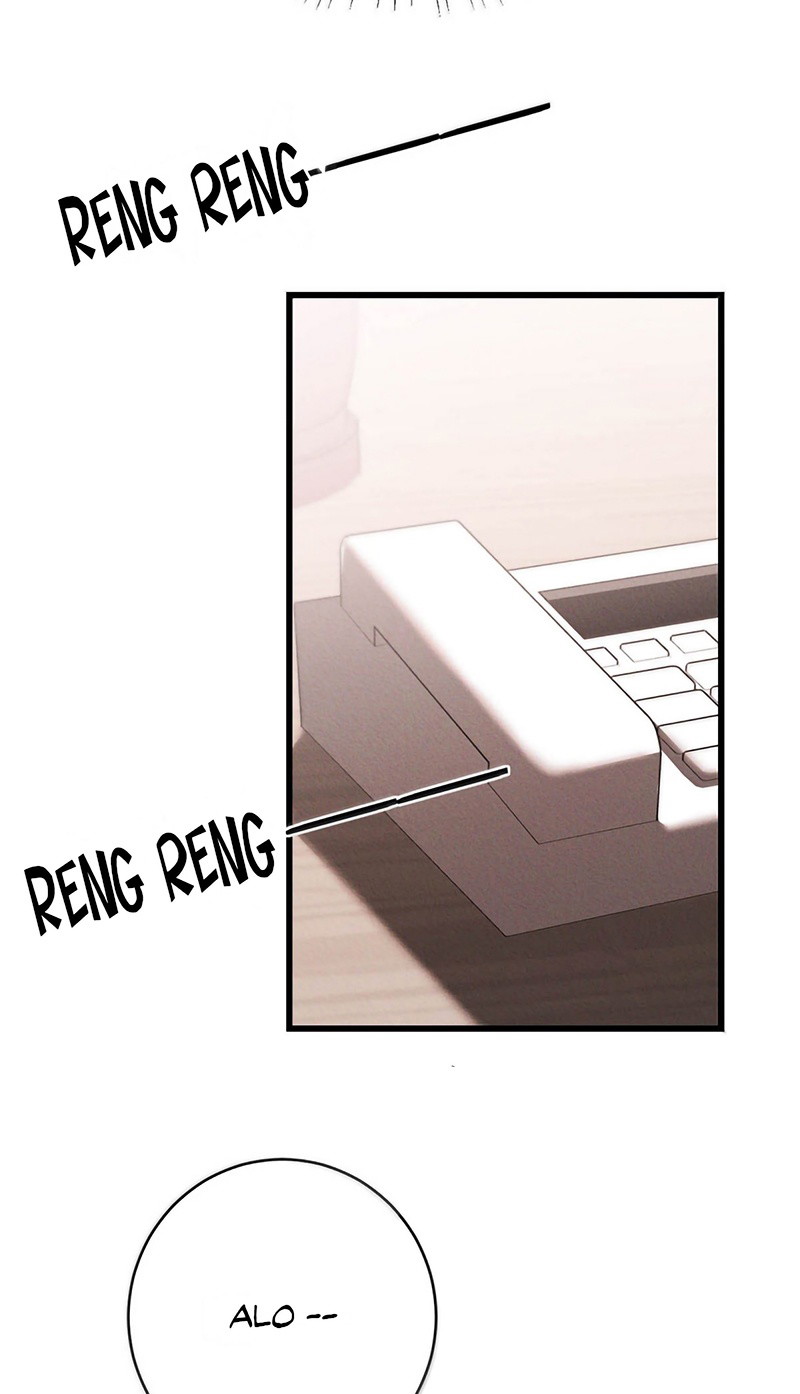Nồng Đậm Tin Tức Tố Chapter 42 - Trang 3