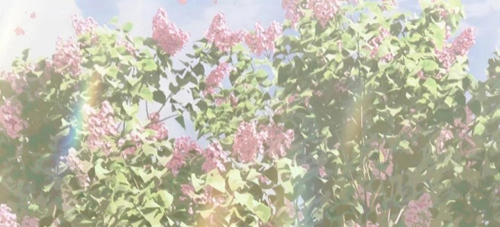 Mỗi Ngày Đều Muốn Làm Bệnh Kiều Vương Tử Xấu Hổ Tới Độn Thổ Chapter 5 - Trang 2