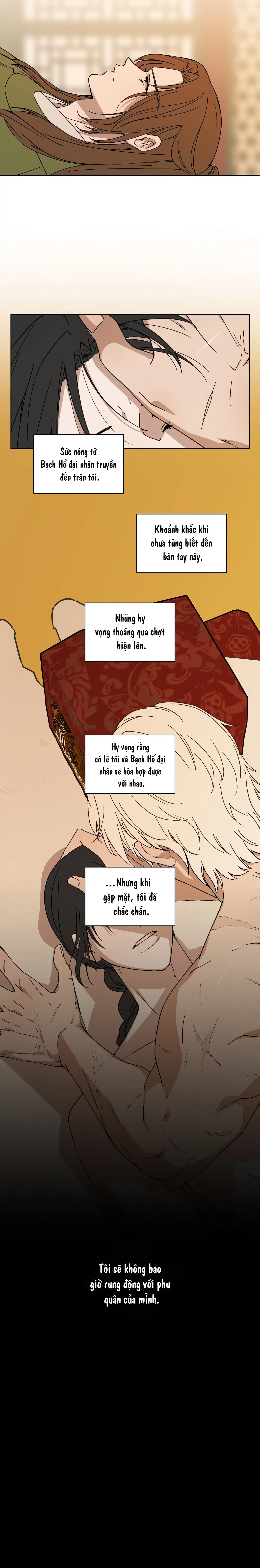 Bạch Hổ: Tình Yêu Và Quyền Lực Chapter 1 - Trang 3