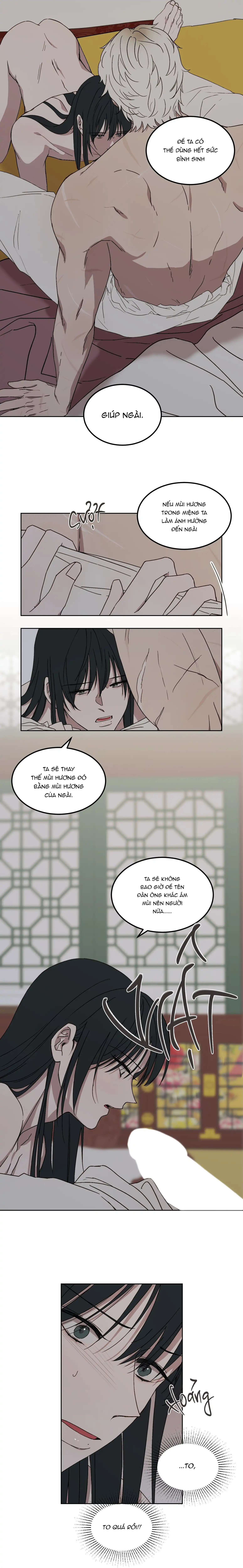 Bạch Hổ: Tình Yêu Và Quyền Lực Chapter 4 H+ - Trang 3